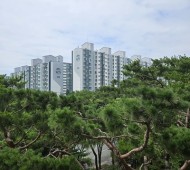 신서동 신일아파트방충망교체